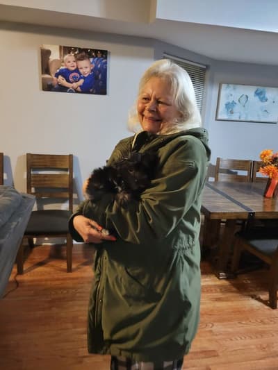 Ocean, a Havanese puppy from Pawrade
