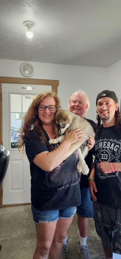 Dalton, a Siberian Husky puppy from Pawrade