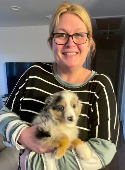 Frankie, a Australian Shepherd puppy from Pawrade