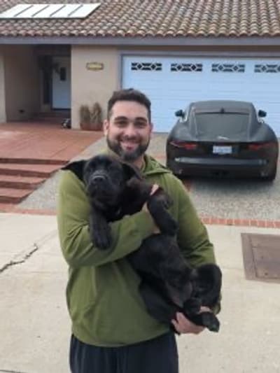 Savannah, a Cane Corso Mastiff puppy from Pawrade