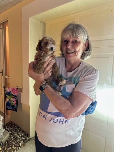 Conway, a Cockapoo puppy from Pawrade