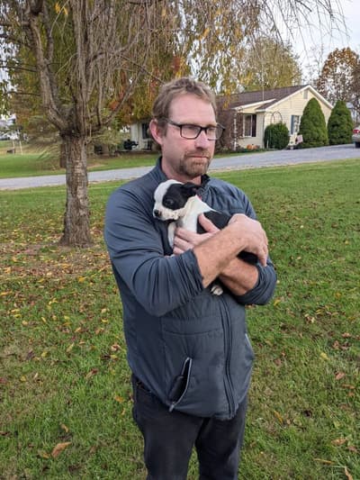 Autumn, a Boston Terrier puppy from Pawrade