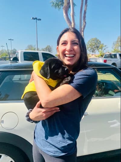 Pickles, a Labrador Retriever puppy from Pawrade