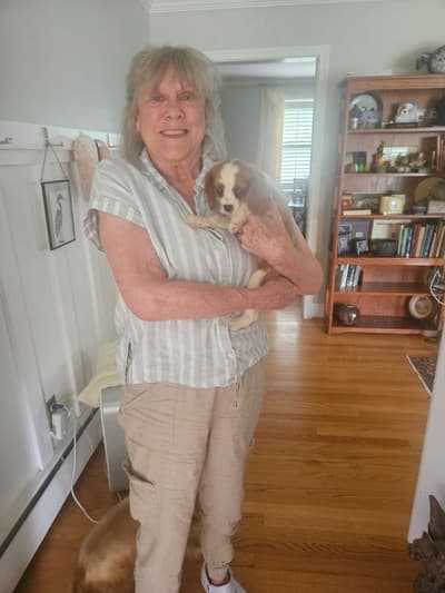 Bessie, a Cavalier King Charles Spaniel puppy from Pawrade