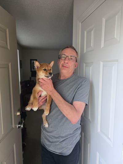 Callum, a Shiba Inu puppy from Pawrade