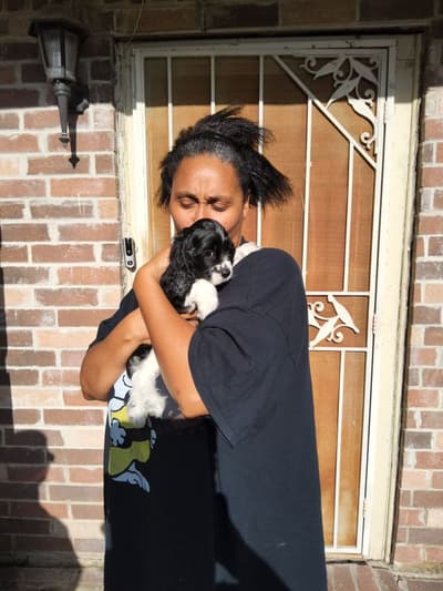 McAllen, a Cocker Spaniel puppy from Pawrade