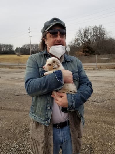 Rebel, a Auggie puppy from Pawrade