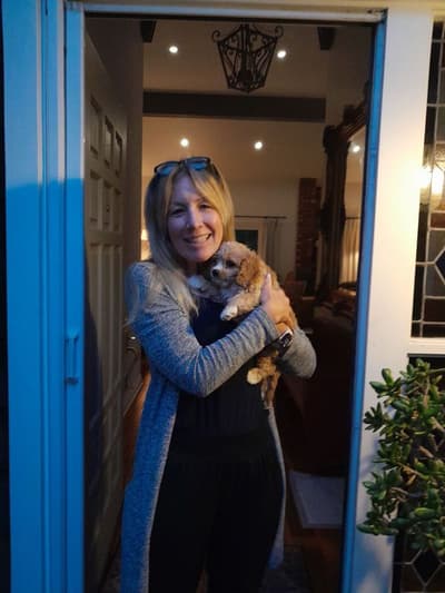 Gizmo, a Cavapoo puppy from Pawrade