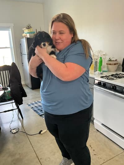 Kenzie, a Bernedoodle, Mini puppy from Pawrade