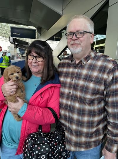 Eloise, a Malti Poo - Maltipoo puppy from Pawrade