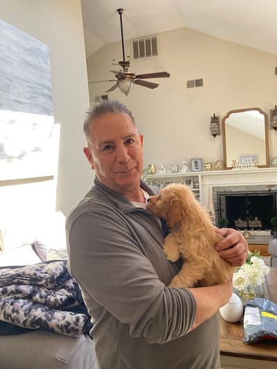 Paco, a Goldendoodle puppy from Pawrade