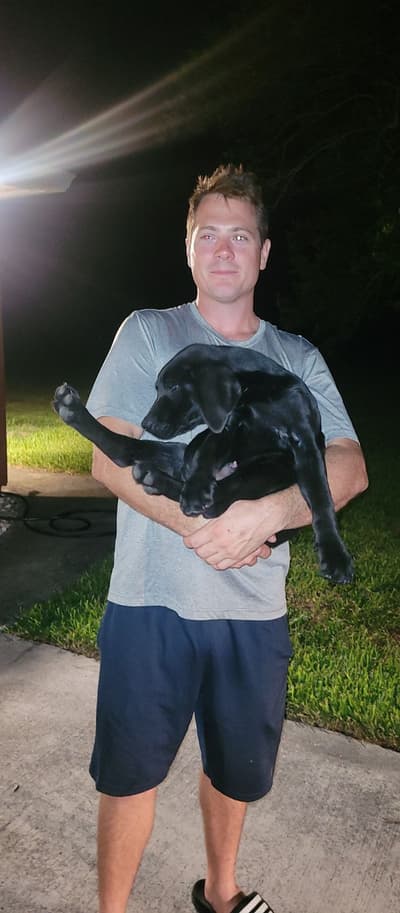 Nate, a Labrador Retriever puppy from Pawrade