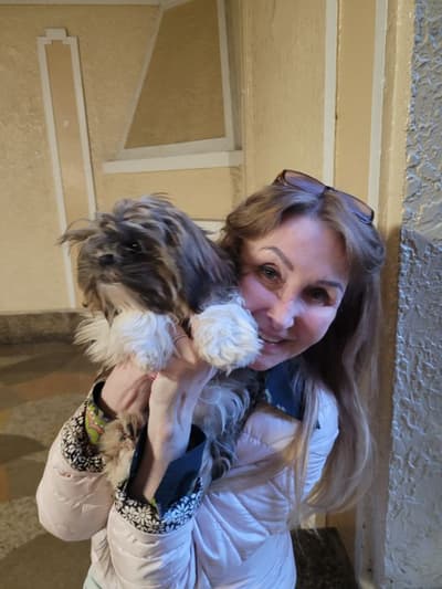 Monroe, a Shih Tzu puppy from Pawrade