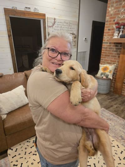 Ivy, a Golden Retriever puppy from Pawrade