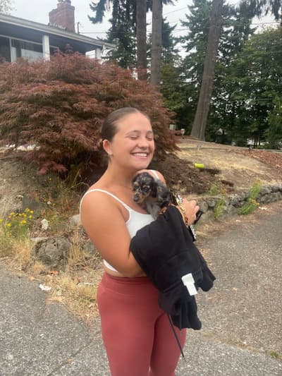 Danielle, a Dachshund, Mini puppy from Pawrade