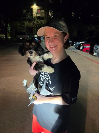 Dino, a Havanese puppy from Pawrade
