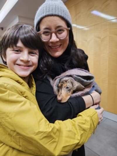 Prince, a Dachshund, Mini puppy from Pawrade