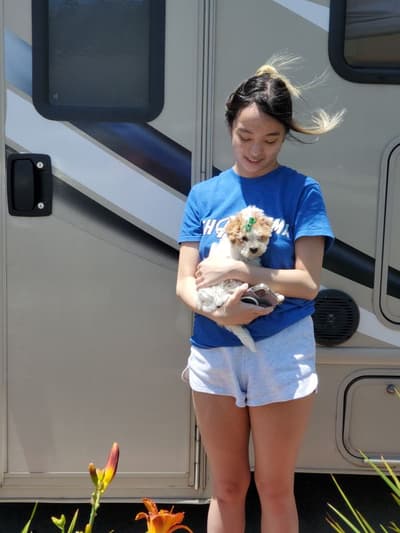 Washington, a Malti Poo - Maltipoo puppy from Pawrade