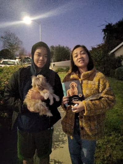 Clemson, a Shih Tzu puppy from Pawrade