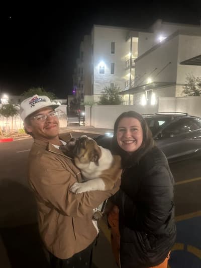 Nitro, a English Bulldog puppy from Pawrade