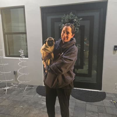 Navi, a Pug puppy from Pawrade
