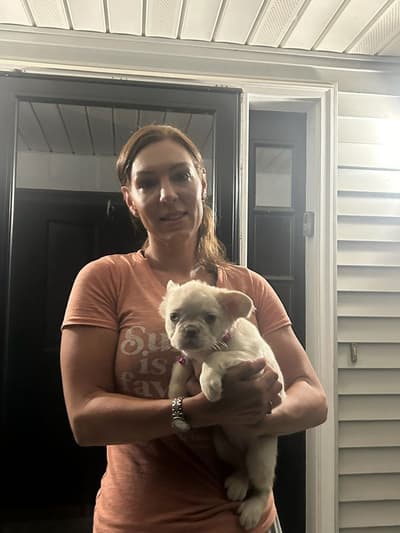 Tallulah, a French Bulldog puppy from Pawrade