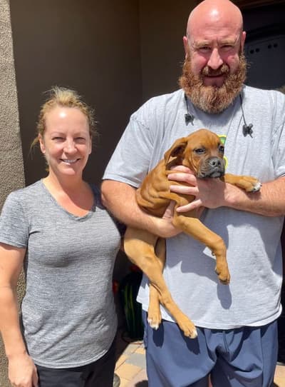Sunshine, a Boxer puppy from Pawrade