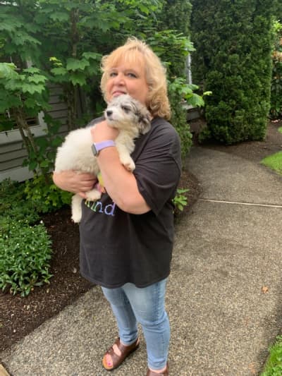 Pam, a Pyredoodle puppy from Pawrade