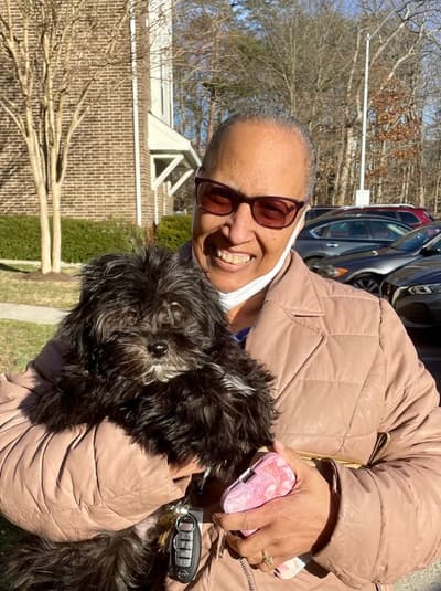 Shadow, a Shih-Poo - Shihpoo puppy from Pawrade