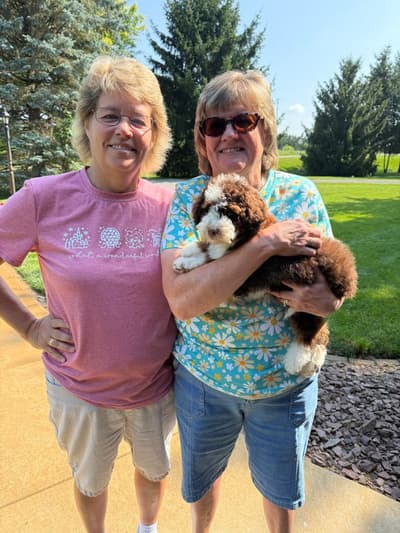 Dixon, a Bernedoodle puppy from Pawrade