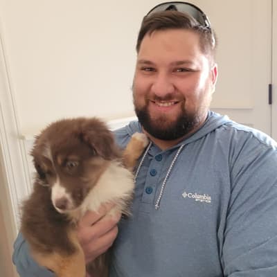 Moose, a Australian Shepherd puppy from Pawrade