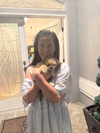Gabe, a Morkie / Yorktese puppy from Pawrade