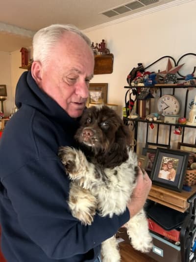 Daniel, a Cocker Spaniel puppy from Pawrade
