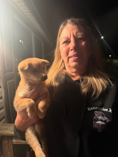Zander, a Shiba Inu puppy from Pawrade
