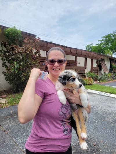 Cece, a Australian Shepherd puppy from Pawrade