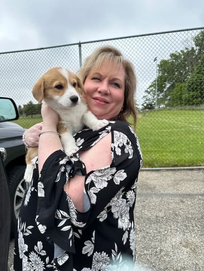 Birdie, a Corgi, Pembroke Welsh puppy from Pawrade