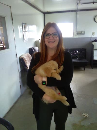 Atlas, a Golden Retriever puppy from Pawrade