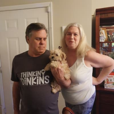 Jack, a Morkie / Yorktese puppy from Pawrade