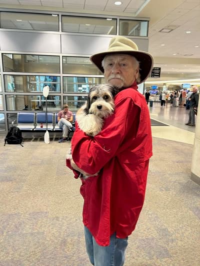 Chloe, a Morkie / Yorktese puppy from Pawrade
