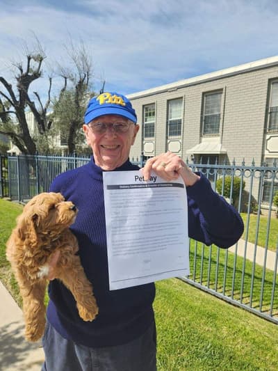 Cray, a Goldendoodle, Mini puppy from Pawrade