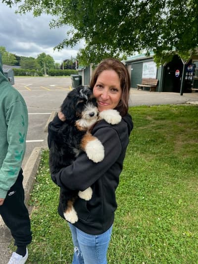 Itzel, a Bernedoodle, Mini puppy from Pawrade