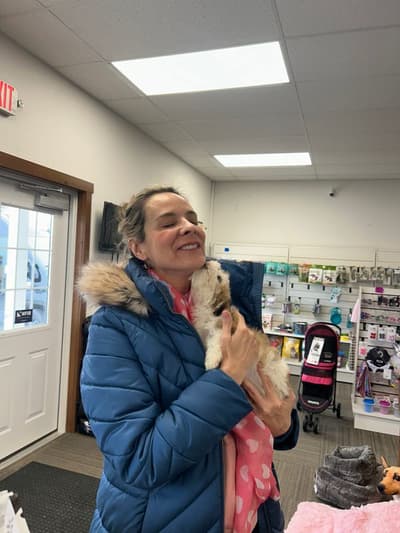Rylee, a Havanese puppy from Pawrade