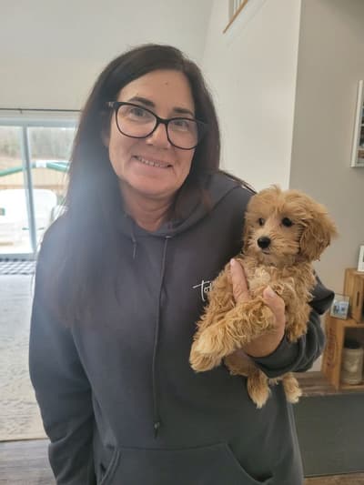 Flo, a Malti Poo - Maltipoo puppy from Pawrade