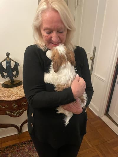 Tyler, a Shih Tzu puppy from Pawrade