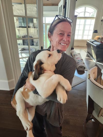 Kimber, a Saint Bernard - St. Bernard puppy from Pawrade