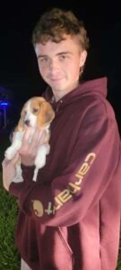 Giannini, a Beagle puppy from Pawrade