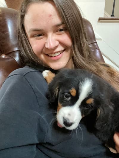 Teagan, a Bernese Mountain Dog puppy from Pawrade