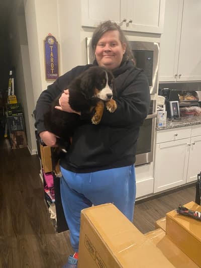 Paris, a Bernese Mountain Dog puppy from Pawrade