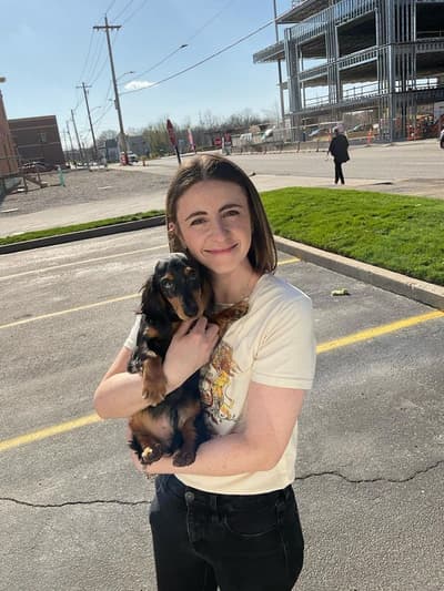 Parks, a Dachshund, Mini puppy from Pawrade