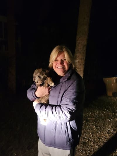 Francisco, a Schnoodle puppy from Pawrade